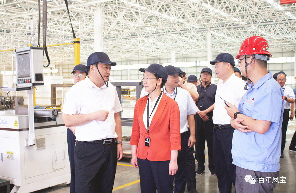 安阳市人大主任徐家平到九体育官方网站集团视察