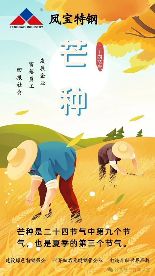 100.webp.jpg 100.webp.jpg