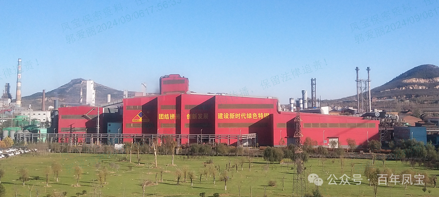 九体育官方网站特钢（集团）列为河南省包保服务重点企业