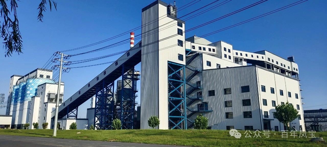 宋争辉到九体育官方网站集团调研