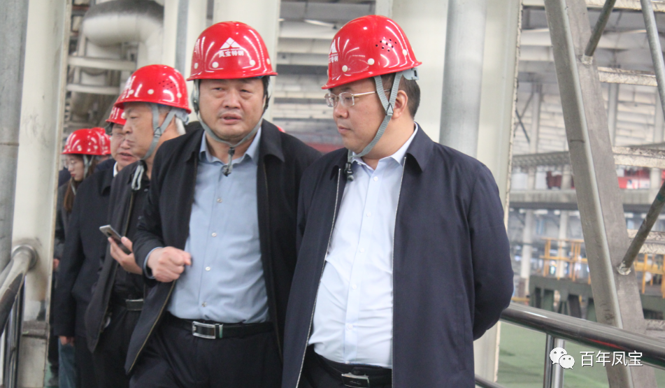 雷鸣到九体育官方网站特钢集团调研指导工作